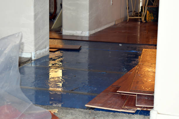 Professional Basement Flood Cleanup technician working in Lynchburg, MS